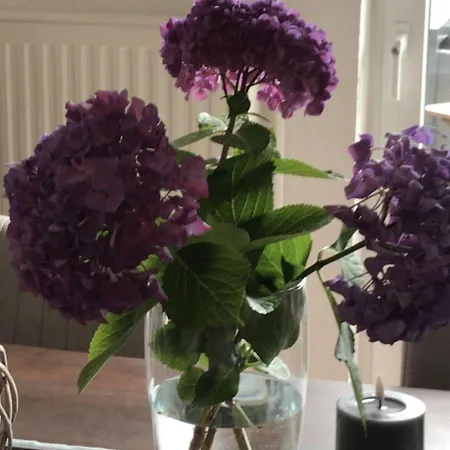 M1 * Husby (Schleswig-Flensburg)